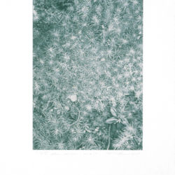2004 - Les clairs-obscurs (Série C, volet 2) - Graphite sur papier fort - 42,5 x 30 cm