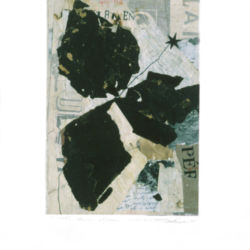 2005 - Les clairs-obscurs (Série C, volet 3) - Collage et crayon sur papier fort - 42,5 x 30 cm