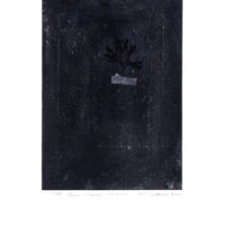 2010 - Les clairs-obscurs (Série D, Volet 4) - Gouache et crayon sur papier fort - 42,5 x 30 cm