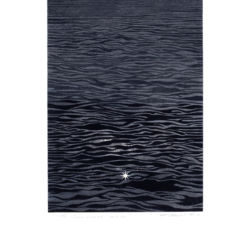2010 - Les clairs-obscurs (Série D, volet 7) - Gouache sur papier fort - 42,5 x 30 cm