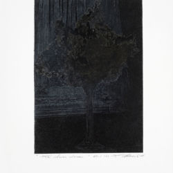 2004 - Les clairs-obscurs (Série C , volet 1) - Papier carbone et crayon sur papier fort - 42,5 x 30 cm