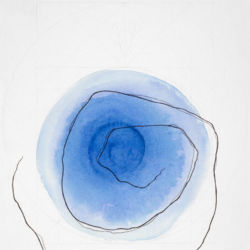 1996 - Rosa azzurra - Aquarelle et crayon sur papier - 76 x 56 cm