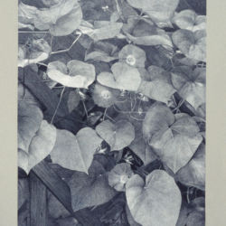 1997 - Paysage-étoiles No 2 - Graphite et acrylique sur papier fort - 80 x 61 cm