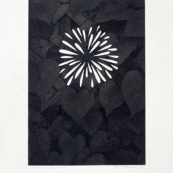 1998 - Fleur-feu - Graphite et gouache sur papier fort - 50 x 37 cm