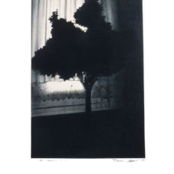 1994 - Une chambre à soi - Graphite sur papier - 76 x 56 cm