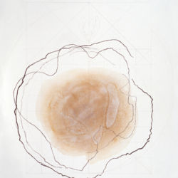2000 - Rosa Bianca - Aquarelle et crayon sur papier - 76 x 56 cm